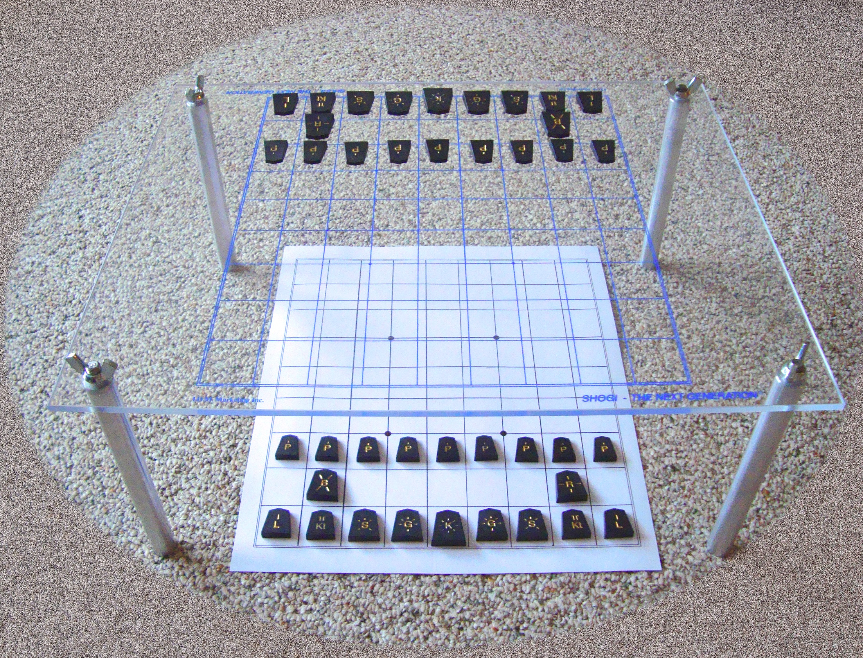 Shogi - The Next Generation