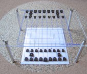 3D Shogi